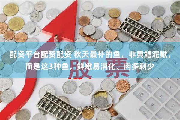 配资平台配资配资 秋天最补的鱼，非黄鳝泥鳅，而是这3种鱼，鲜嫩易消化、肉多刺少