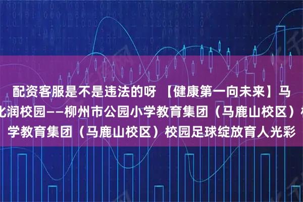 配资客服是不是违法的呀 【健康第一向未来】马鹿山下绿茵欢 足球文化润校园——柳州市公园小学教育集团（马鹿山校区）校园足球绽放育人光彩